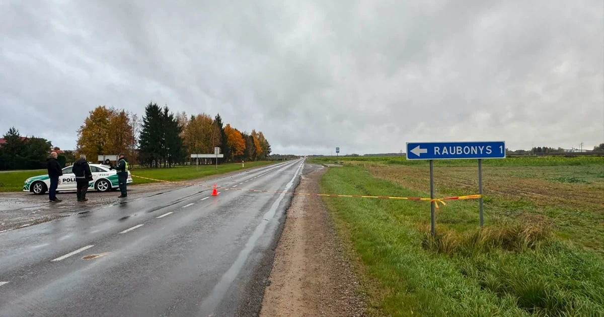 Місце в Пасваліському районі Литви, де знайшли уламки невідомого дрона